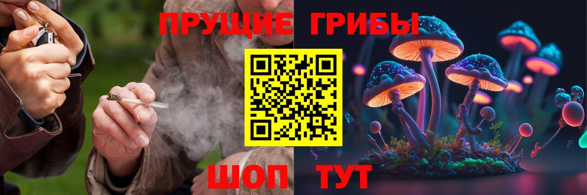 Галлюциногенные грибы ЛСД Рузаевка